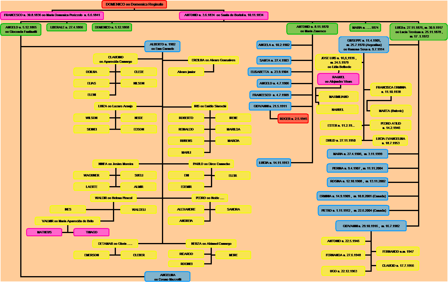 Organization Chart